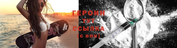 индика Арсеньев