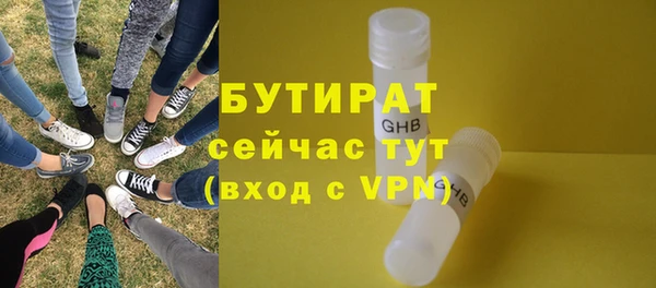 индика Арсеньев