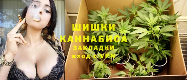 индика Арсеньев