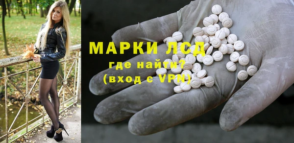 индика Арсеньев