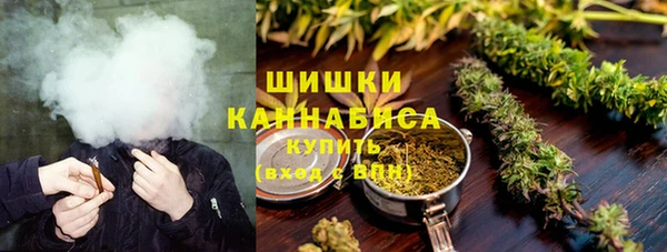 индика Арсеньев