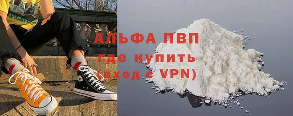 индика Арсеньев