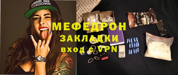 индика Арсеньев