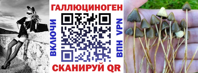 Галлюциногенные грибы Magic Shrooms блэк спрут рабочий сайт Свирск